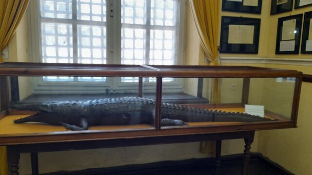 کاخموزه بندرانزلی؛ گنجینهای در دل دریا و تالاب