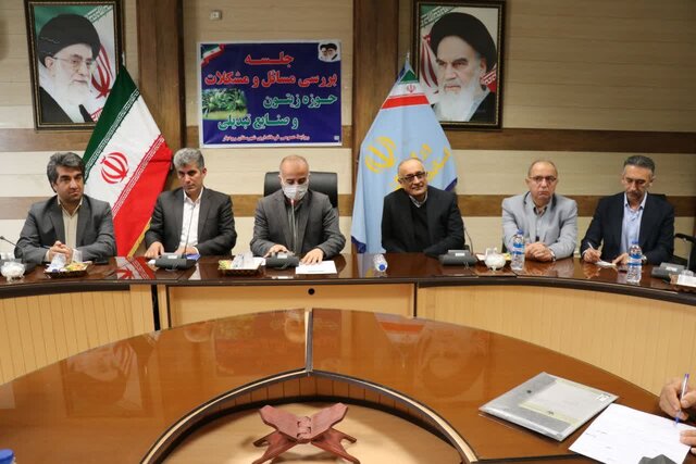 در جلسه ملی، بررسی مشکلات حوزه زیتون و صنایع تبدیلی چه گذشت؟