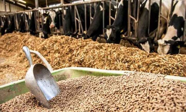 از قطعات خودرو تا خوراک دام؛ روایت توسعه صنعتی ایران با تکیه بر تعاون و سرمایهگذاری داخلی