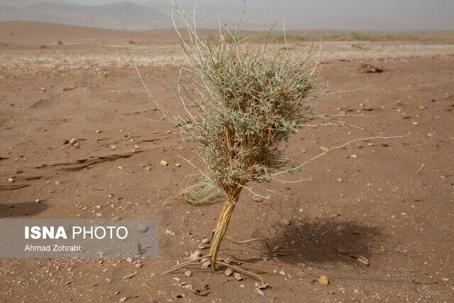 آلودگی خاک پنهان است آلودگی خاک پنهان است