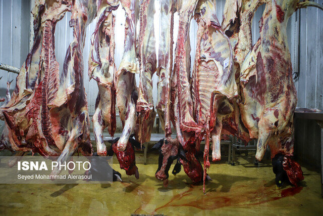 دام ناسالم خطری که میتواند سلامت انسان را به خطر اندازد