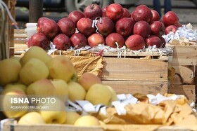 ذخیره سازی ۲۴۰ تنی میوه شب عید در گیلان