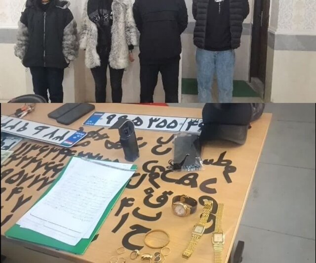 دستگیری اعضای باند سارقان غیربومی در رشت دستگیری اعضای باند سارقان غیربومی در رشت