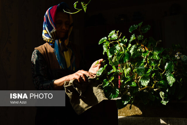 آیین خانه تکانی در روستاهای گیلان؛ نشانه احترام عمیق به طبیعت