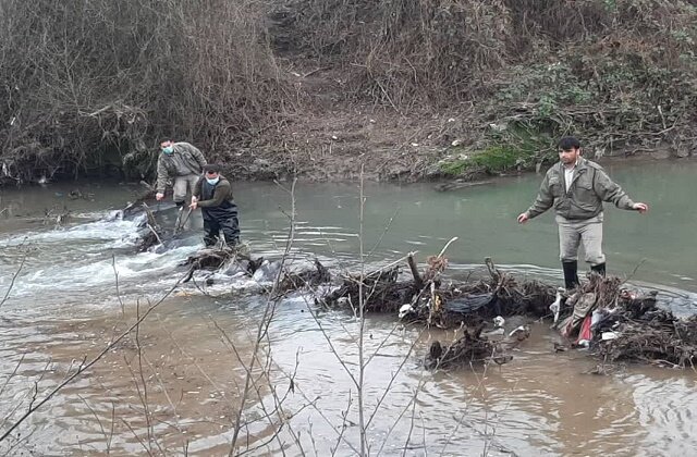 پاکسازی رودخانههای تالش همزمان با فصل تخمریزی ماهیان