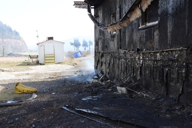 آتشسوزی عوارضی امامزاده هاشم خسارت جانی نداشت