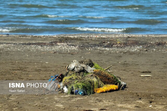 از جای خالی پسماند در آییننامه ستاد تسهیلات سفر تا خلا آموزش مسافران