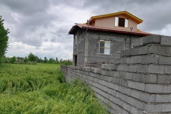 شناسایی ۲۶۵ مورد تغییر کاربری اراضی کشاورزی گیلان