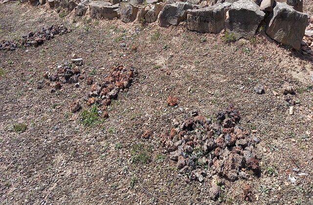 گامهای امیدوار برای ثبت جهانی یک گنج تاریخی