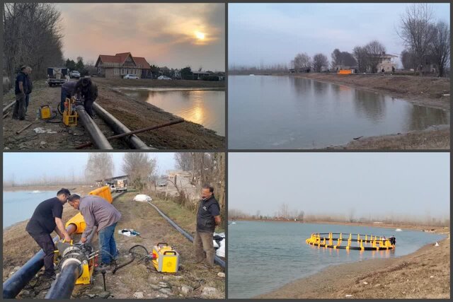 تولید ۱۰ درصد از ماهیان گرمابی گیلان در آببندانها