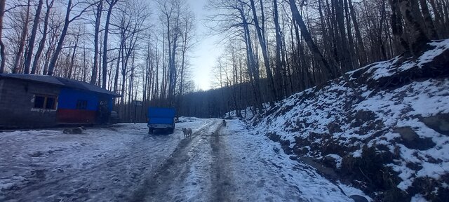 عشق به آموختن مرز ندارد حتی در میان بادهای سرد کوچ