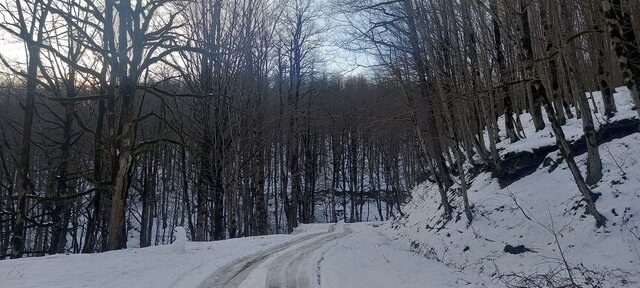 عشق به آموختن مرز ندارد حتی در میان بادهای سرد کوچ
