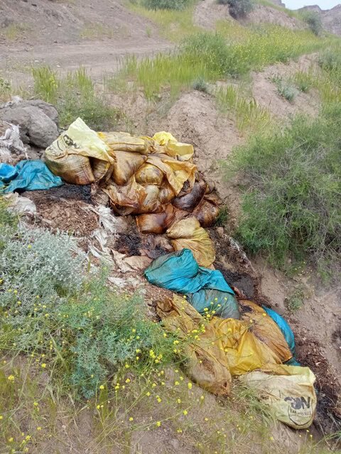 رهاسازی لاشه مرغ‌های تلف شده در طبیعت/ شناسایی مرغداری متخلف