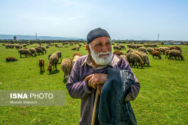 تهیه طرح های تلفیقی با محوریت گردشگری و گیاهان دارویی در مراتع گیلان