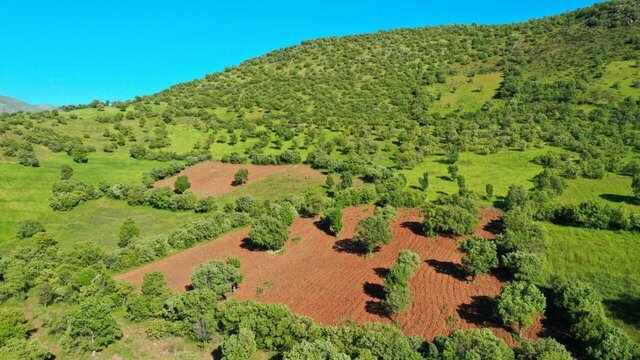 رییس اداره حفاظت محیط زیست شهرستان اعلام کرد: رفع تصرف ۲.۵ هکتار از اراضی منطقه حفاظت شده «باهوکلات» در راسک رییس اداره حفاظت محیط زیست شهرستان اعلام کرد: رفع تصرف ۲.۵ هکتار از اراضی منطقه حفاظت شده «باهوکلات» در راسک