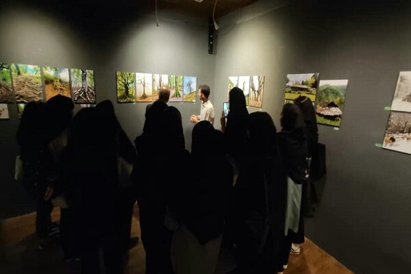 حفاظت از جنگل های هیرکانی حفاظت از تنوع زیستی ایران است