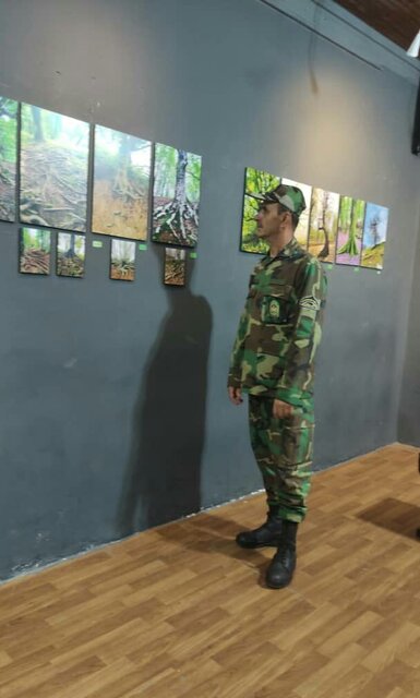 حفاظت از جنگل های هیرکانی حفاظت از تنوع زیستی ایران است