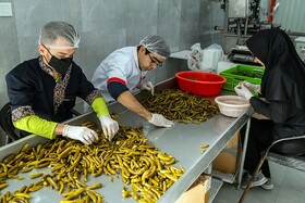 ایجاد مشاغل خانگی مبتنی بر مزیت‌های هر شهرستان در گیلان/ پرداخت تسهیلات ۱۳۵ میلیاردی اشتغال