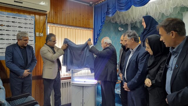 رونمایی از دست‌یابی به دانش فنی تکثیر مصنوعی و تولید لارو ماهی سَس سرگنده دریای خزر