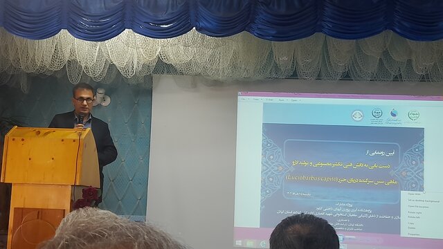 رونمایی از دستیابی به دانش فنی تکثیر مصنوعی و تولید لارو ماهی سَس سرگنده دریای خزر