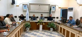 افزایش توزیع مرغ در آستانه اشرفیه/ خرید آرد مازاد