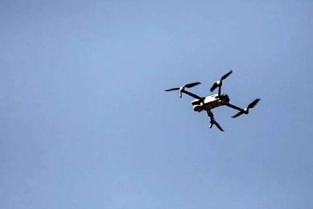 تصویر تزئینی است کشف یک ریزپرنده در آستانه اشرفیه