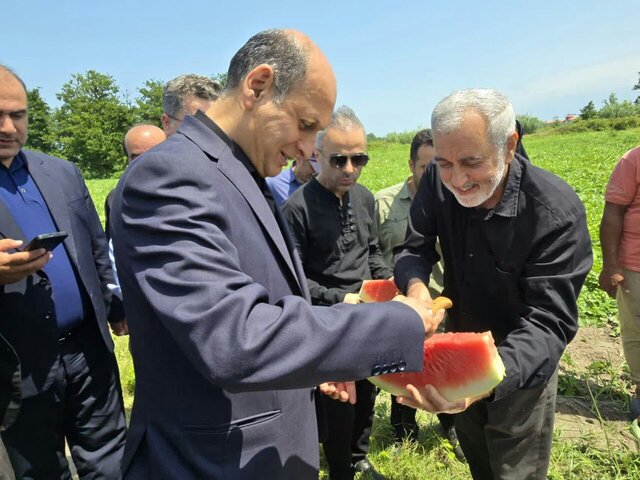 هندوانه گیلان قابلیت صادرات دارد هندوانه گیلان قابلیت صادرات دارد