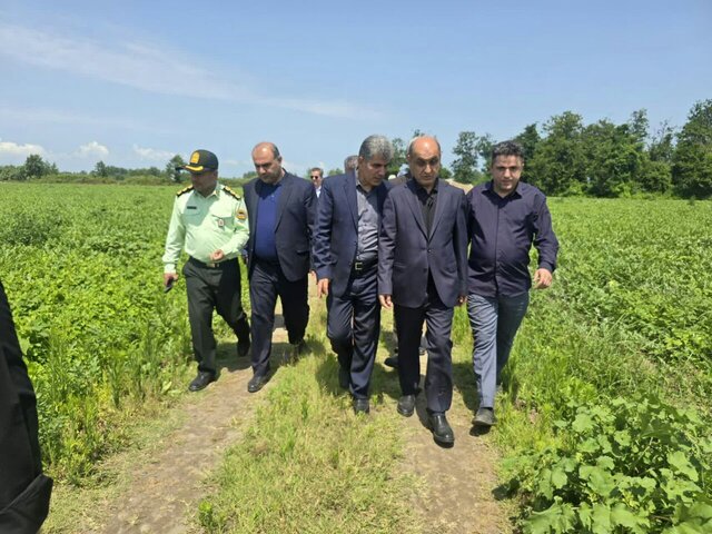 هندوانه گیلان قابلیت صادرات دارد