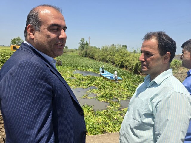 پاکسازی ۱۹ کیلومتری انهار لنگرود از سنبل آبی