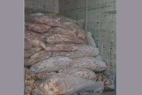 توقیف ۲۲۰ کیلوگرم مرغ فاسد در بندرانزلی