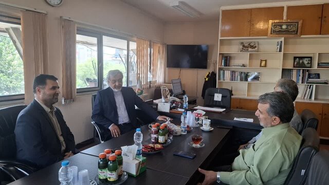 اطلاع‌رسانی دقیق به مردم اصلی‌ترین راه مدیریت وضعیت فعلی برق است