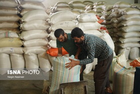 تداوم اجرای طرح نظارت بر بازار برنج گیلان با ۲۱۳ اکیپ گشت مشترک