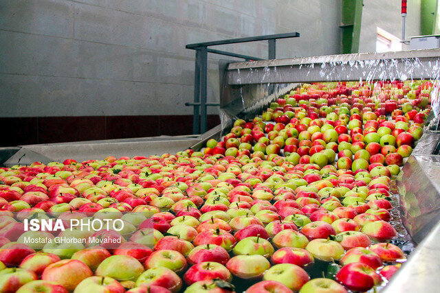 به زودی الگوی کشت به تمامی استان ها ابلاغ می شود به زودی الگوی کشت به تمامی استان ها ابلاغ می شود