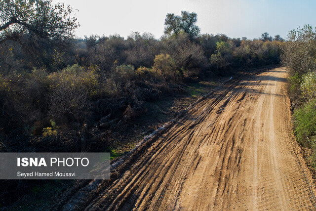 تزیینی دادستان شفت؛ پیگیر خسارات وارد شده به جنگل ها در پی جاده سازی شبانه