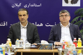 تشکیل کمیته مشترک ابریشم گیلان و ازبکستان/ آغاز فصل جدید همکاری‌های دو کشور