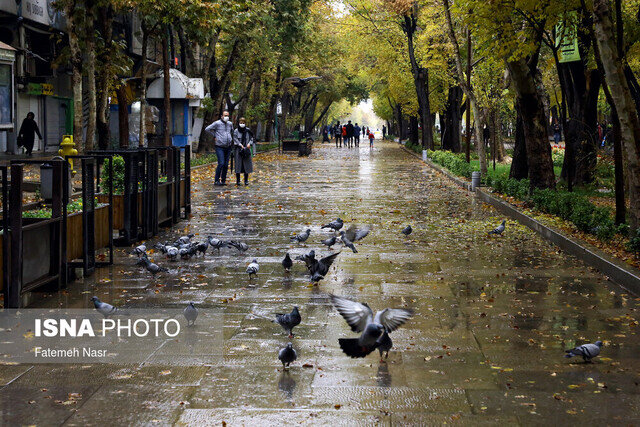 عکس تزئینی است افزایش دمای هوا و بارشهای کمتر از نرمال در زنجان