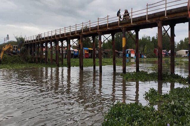 پاکسازی مسیر زیر پل نهنگ روگا از سنبل آبی در تالاب انزلی