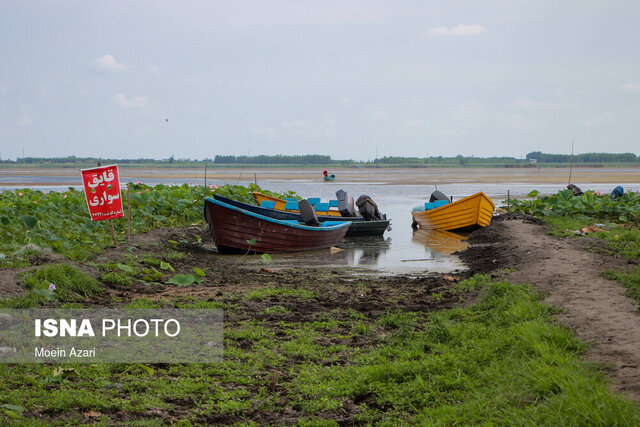 مدیریت جامع و همافزا، راه نجات تالاب بینالمللی انزلی است