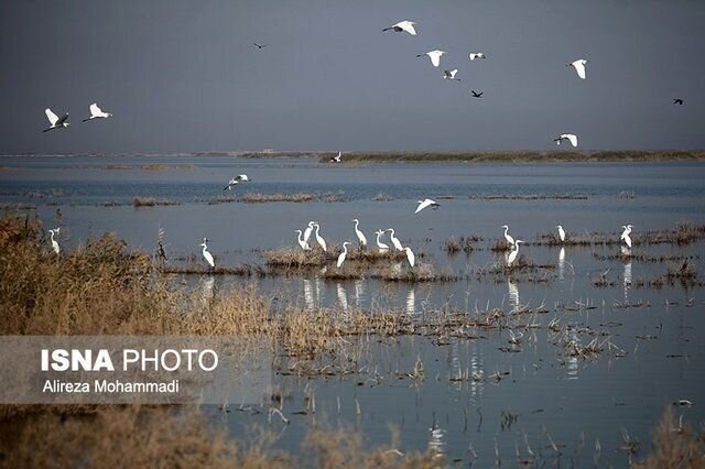 وقتی اشک آسمان جان میبخشد