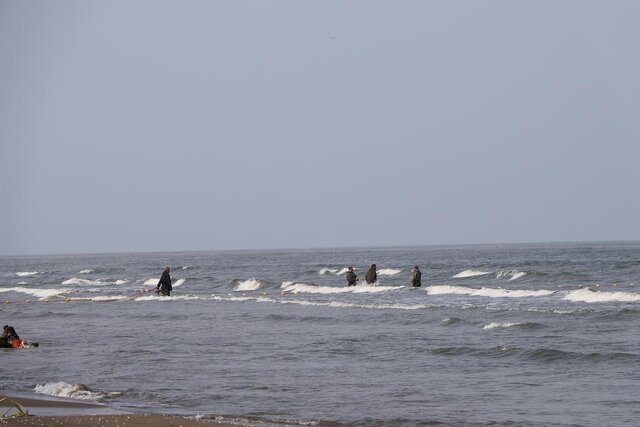فصل صید ماهیان استخوانی در گیلان آغاز شد