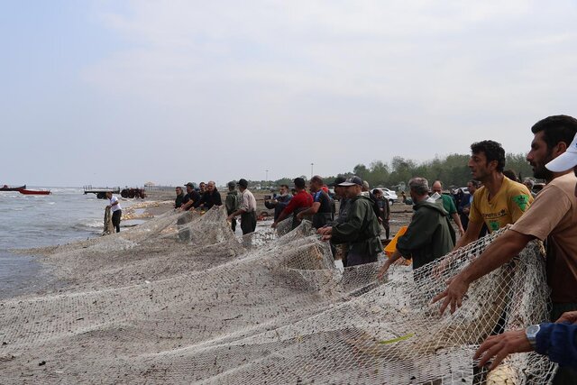 فصل صید ماهیان استخوانی در گیلان آغاز شد