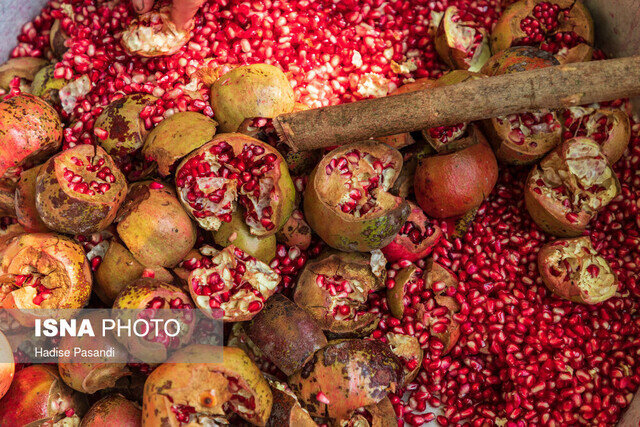پیشبینی تولید ۴۸ هزار تن انار در کازرون پیشبینی تولید ۴۸ هزار تن انار در کازرون
