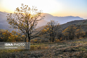 آسمان گیلان تا پایان هفته صاف است