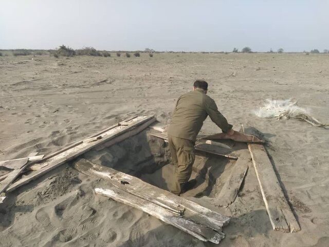 جمع آوری تله‌های میلیاردی شکار پرندگان در پارک ملی بوجاق