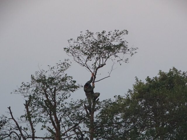 جمع آوری تله‌های میلیاردی شکار پرندگان در پارک ملی بوجاق