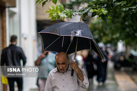 بارش‌ قابل‌ توجه باران در نقاط مختلف استان زنجان طی ۲۴ ساعت گذشته
