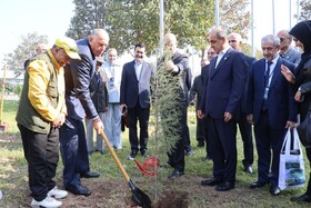 کاشت درخت صلح با حضور استانداران خزر