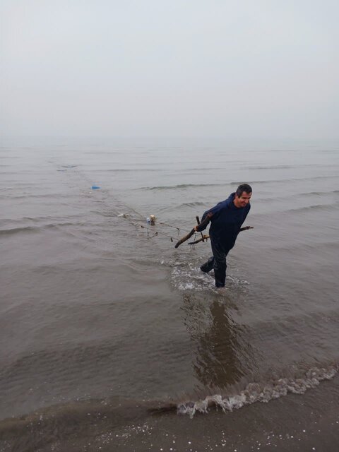 مدیرکل شیلات گیلان: صید غیرمجاز منابع آبزی دست‌درازی به ثروت عمومی است