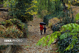گیلان این هفته بارانی می‌شود؟