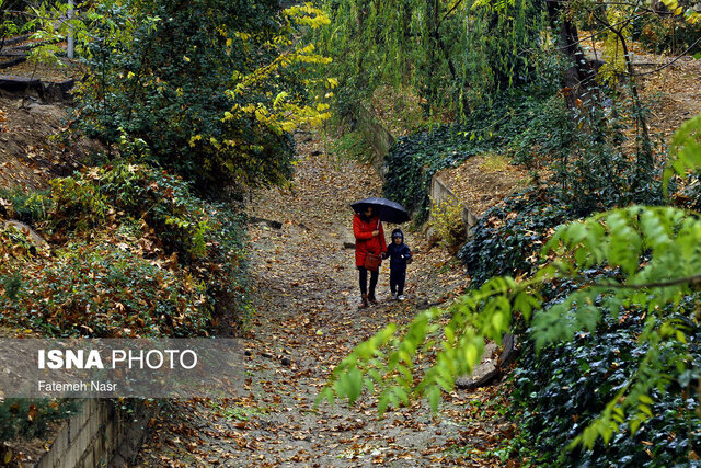 گیلان این هفته بارانی می‌شود؟
